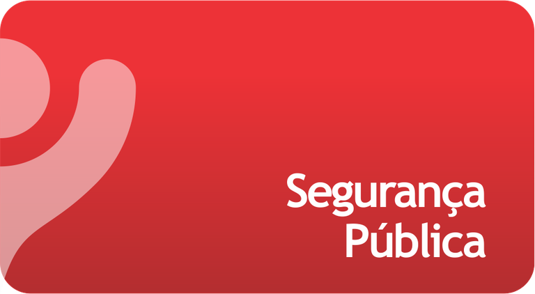 Segurança Pública