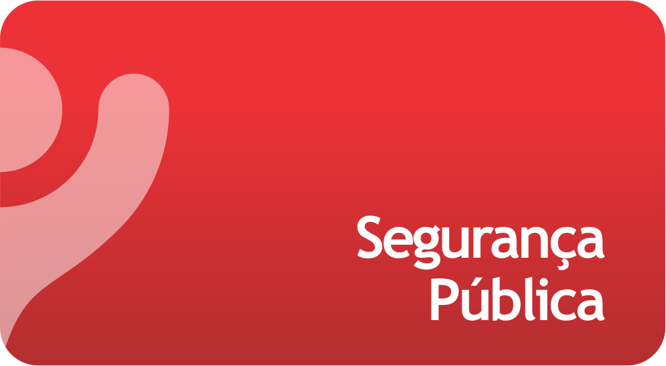 Segurança Pública